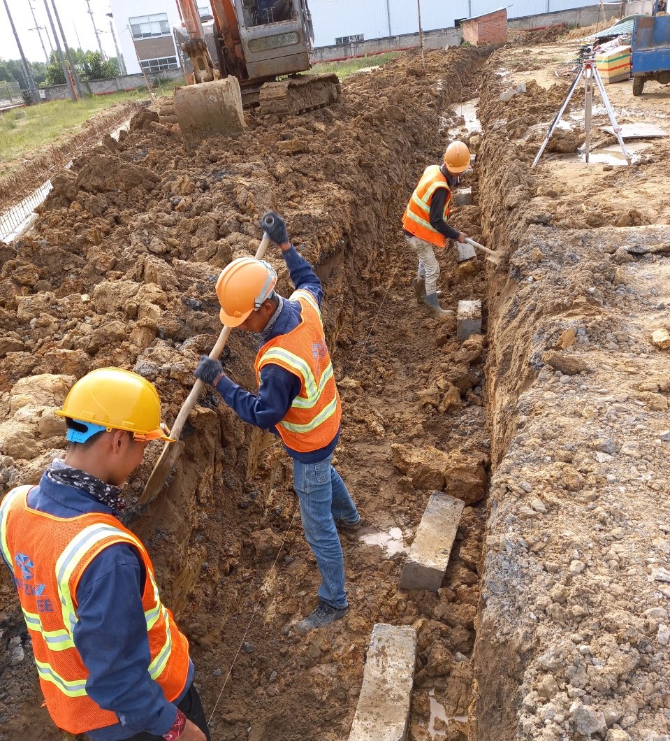 TIẾN ĐỘ TUẦN 35 DỰ ÁN FASSWEL
